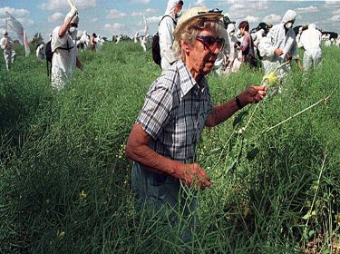 Crop cleansing