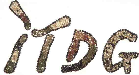 ITDG seed logo