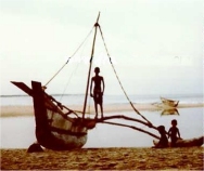 Traditional Sri Lankan outrigger ORU - 8,000 were destroyed by the tsunami